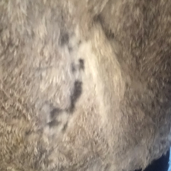 Gorgeous heather gray rabbit fur 1940s coat true vintage blue satin lining - Picture 5 of 8